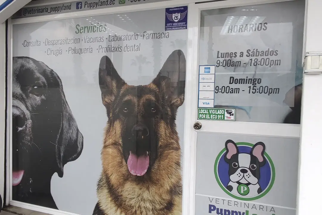 Vinil Arenado